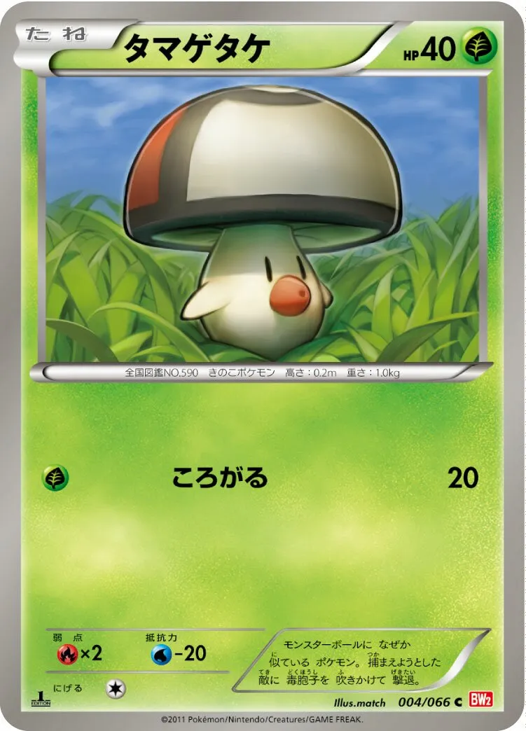 Trompignon