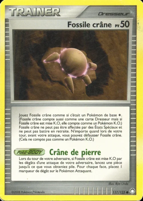 Fossile crâne