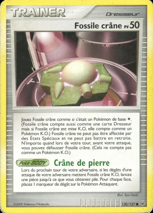 Fossile crâne