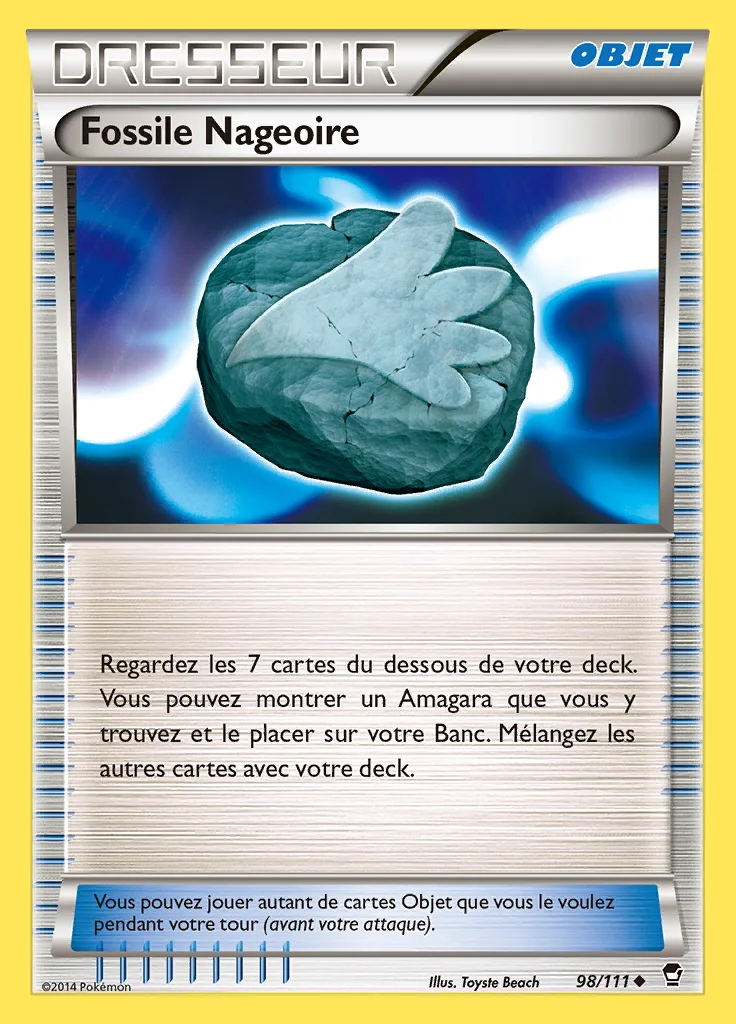 Fossile Nageoire