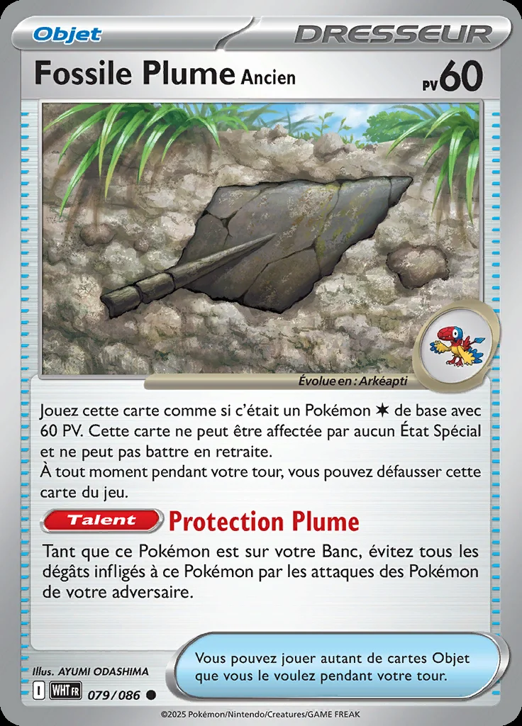 Fossile Plume Ancien