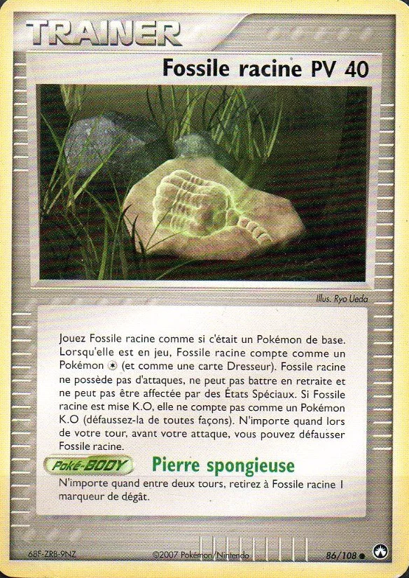 Fossile racine