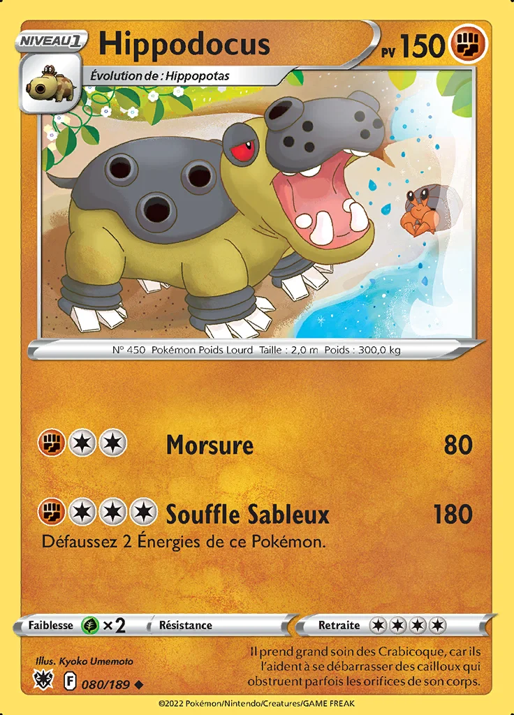 Hippodocus