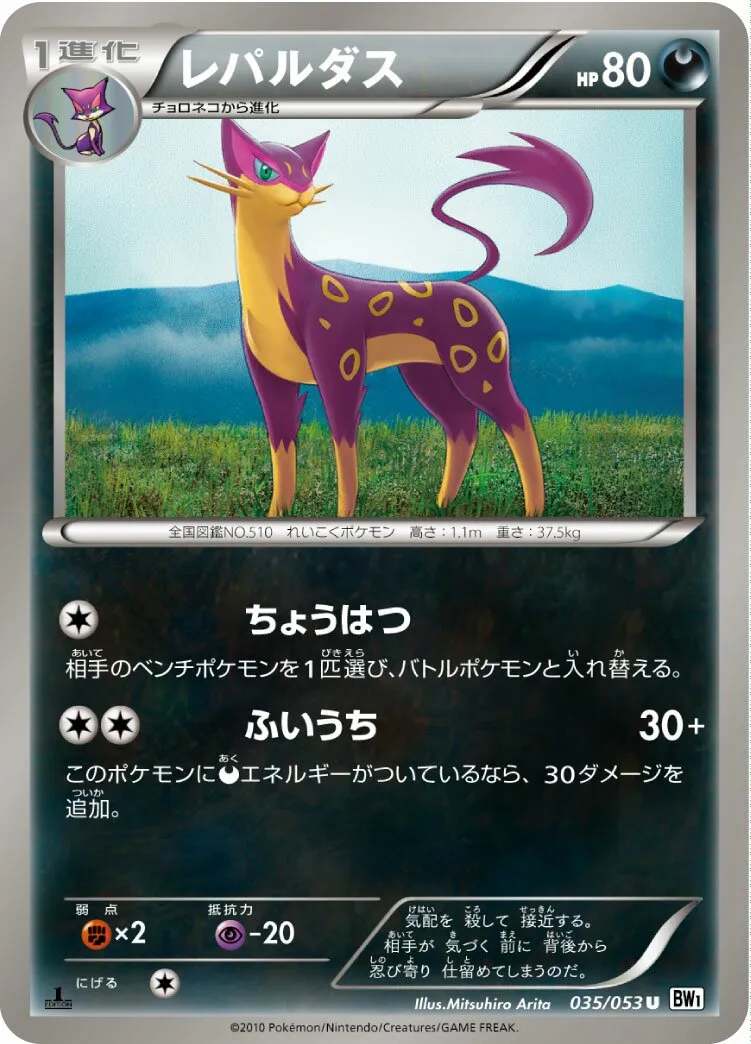 Léopardus