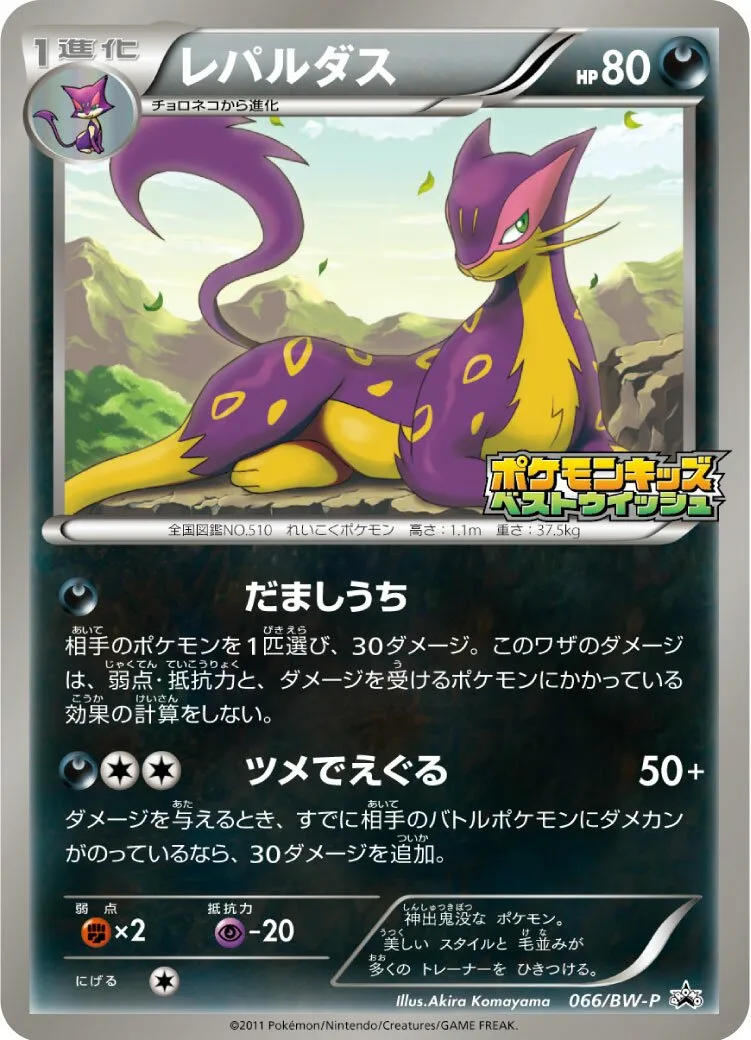 Léopardus