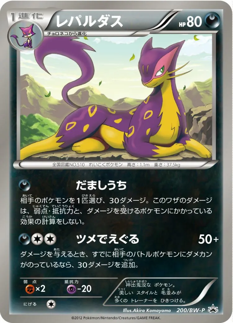 Léopardus