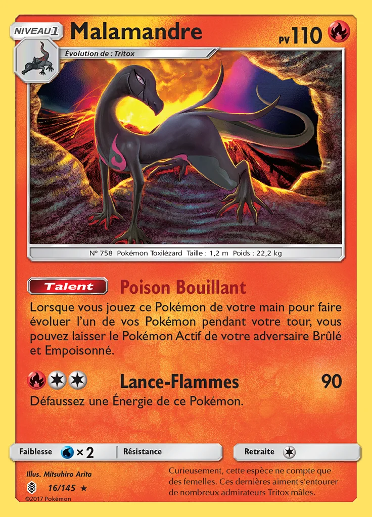Malamandre