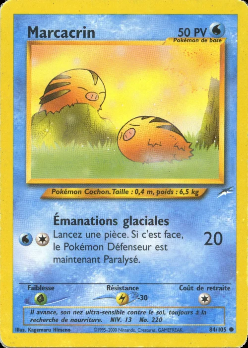 Marcacrin