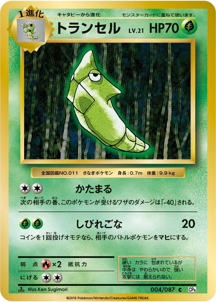Chrysacier
