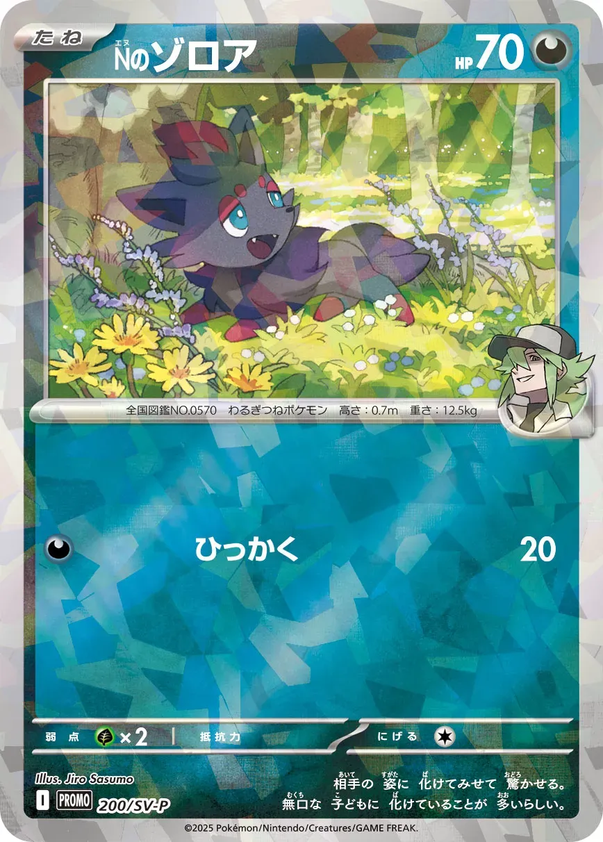 Zorua de N
