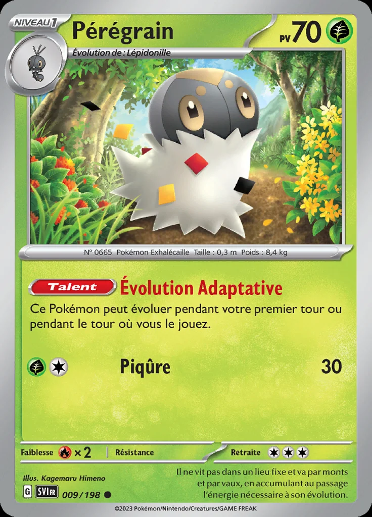 Pérégrain