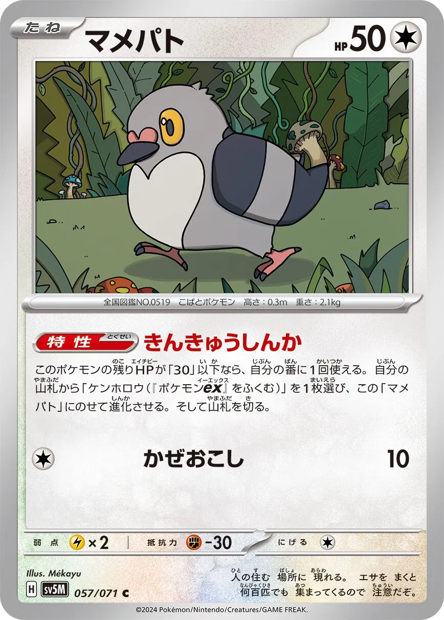 Poichigeon