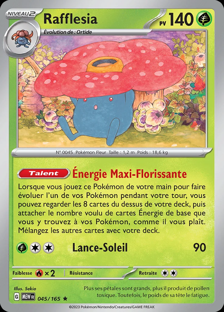 Rafflesia