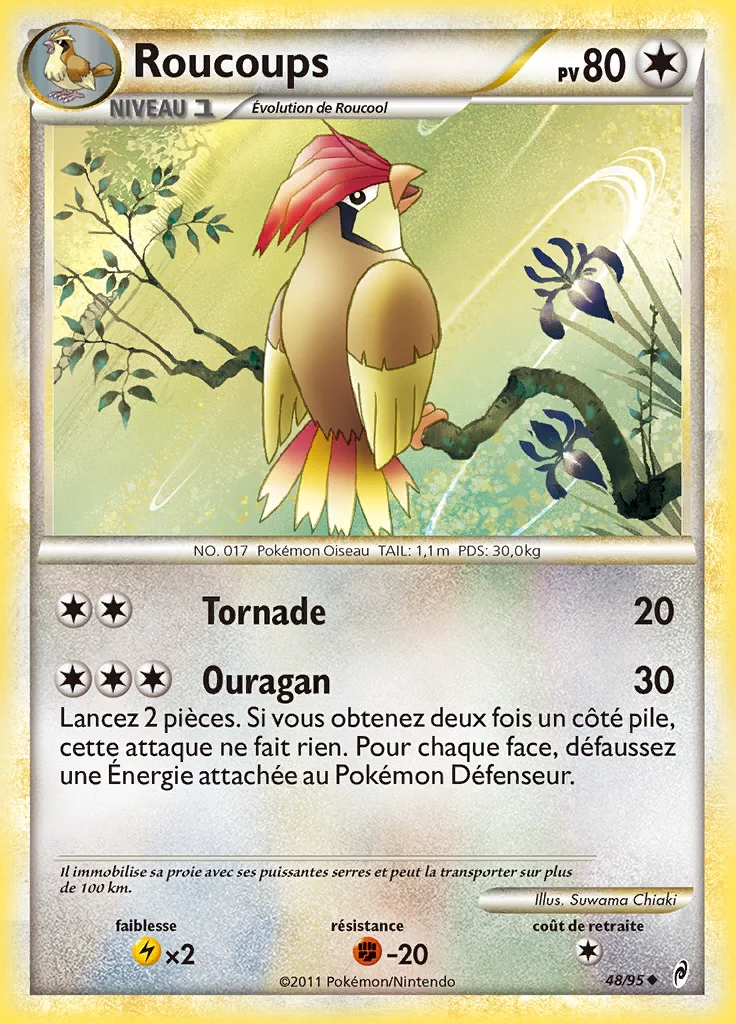 Roucoups