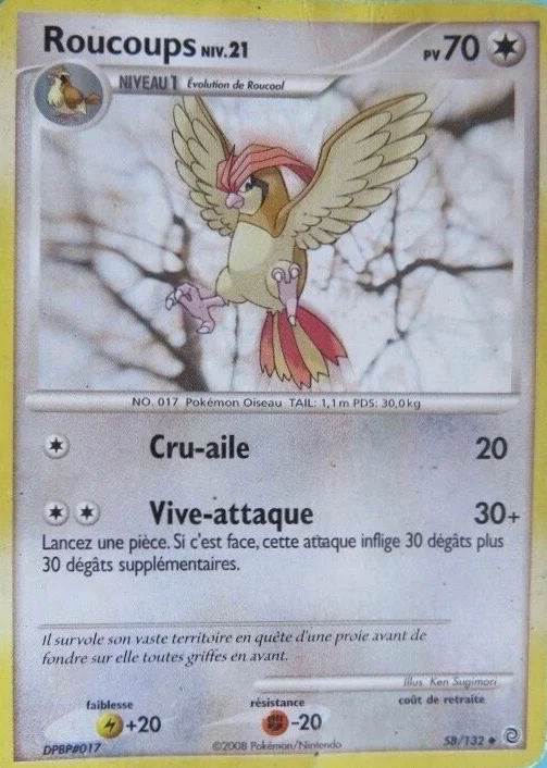 Roucoups