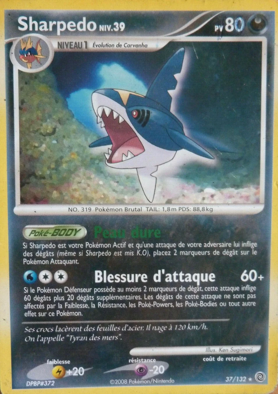Sharpedo