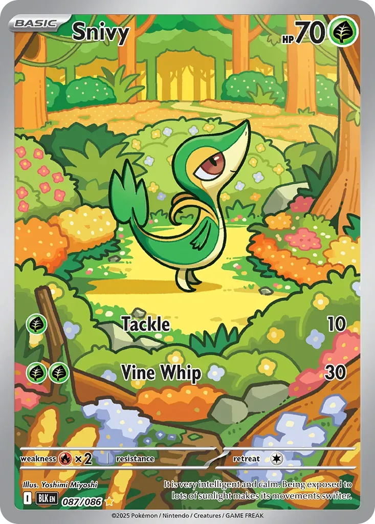 Vipélierre