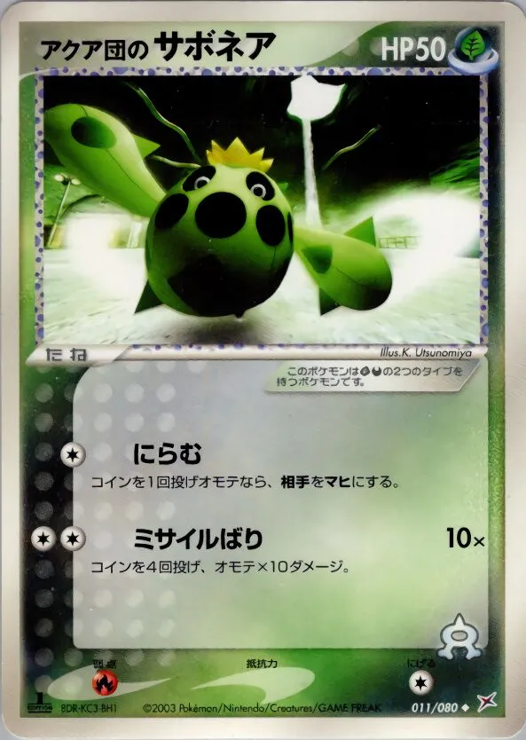 Cacnea de Team Aqua