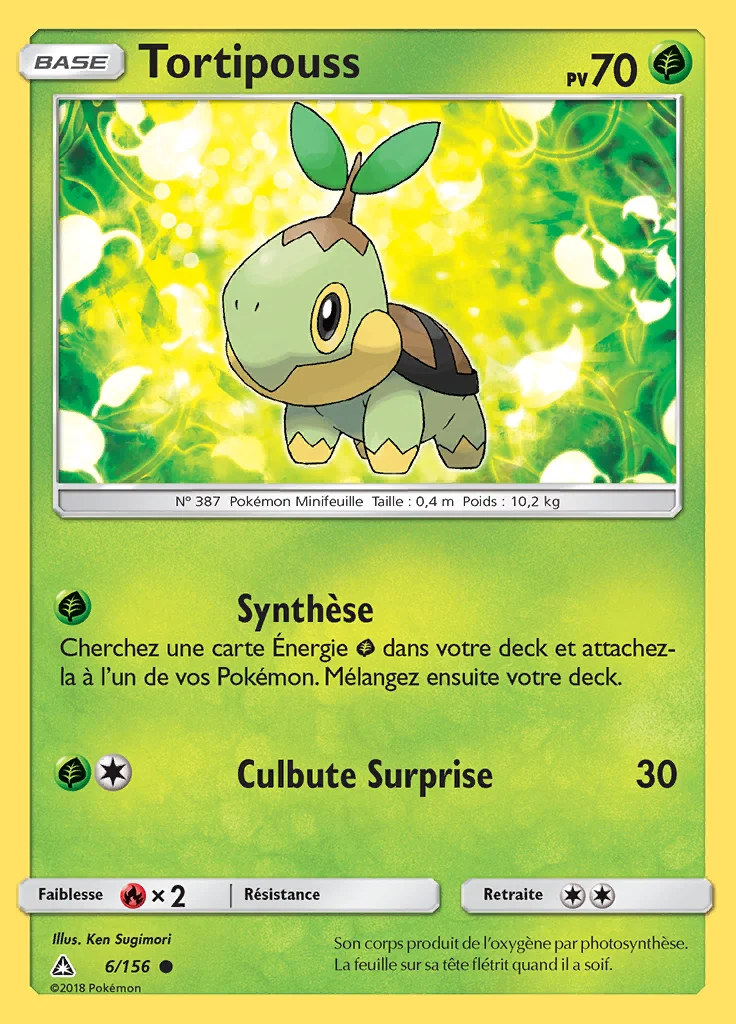 Tortipouss