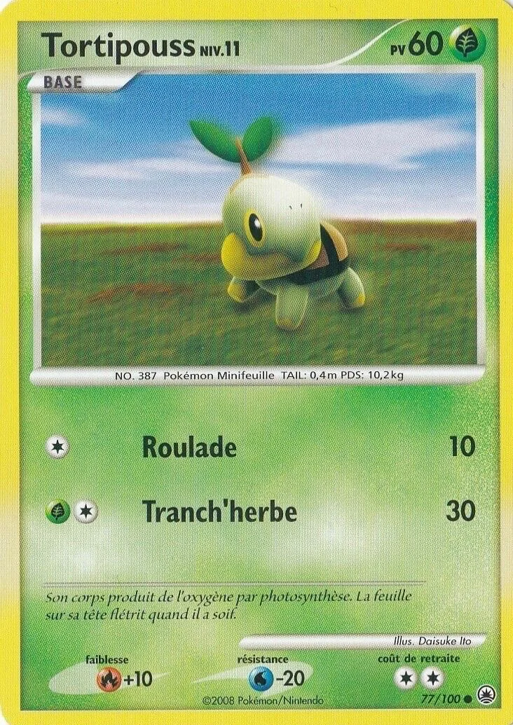 Tortipouss