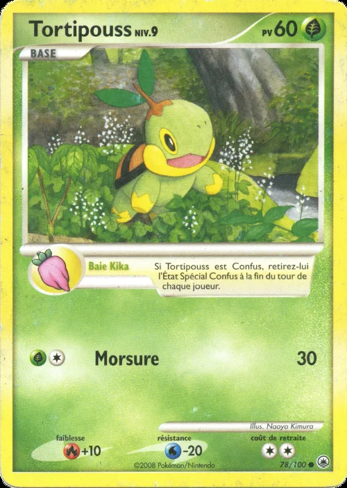 Tortipouss