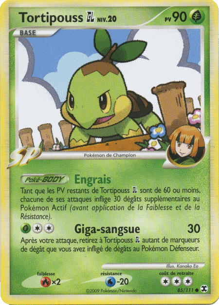 Tortipouss GL