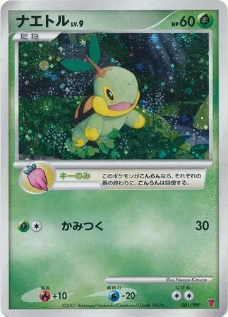 Turtwig