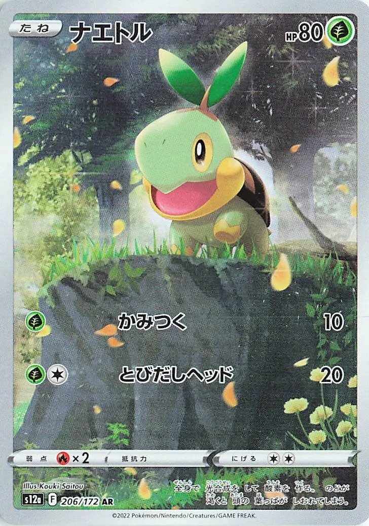 Turtwig