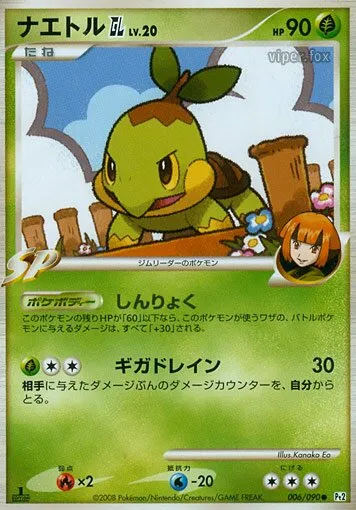 Tortipouss GL