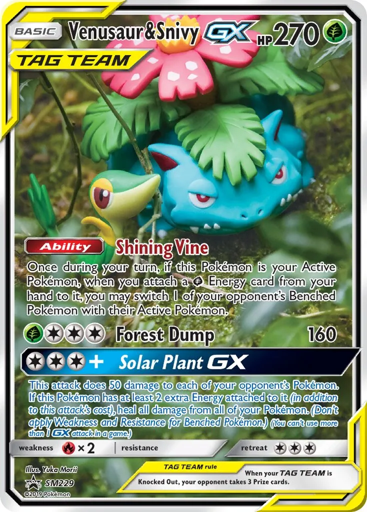 Florizarre et Vipélierre-GX