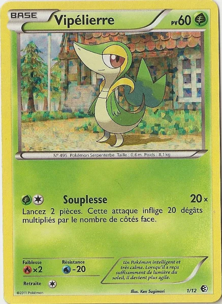 Vipélierre