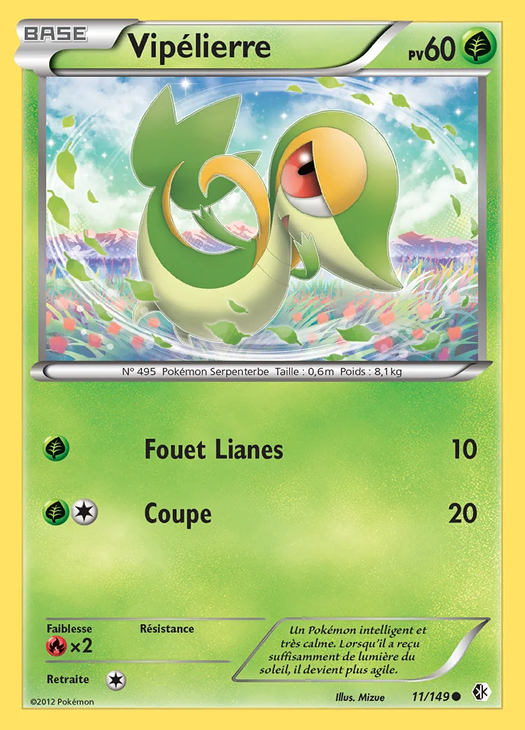 Vipélierre