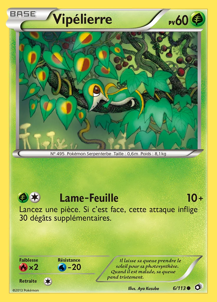 Vipélierre