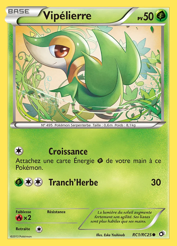 Vipélierre