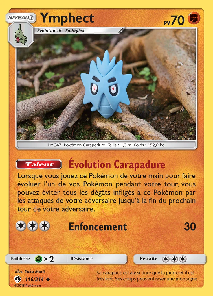 Ymphect