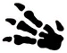 Fossile