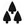 Mirage Forest