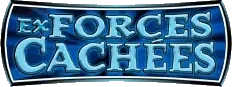 EX : Forces Cachées
