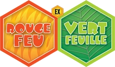 EX Rouge Feu & Vert Feuille