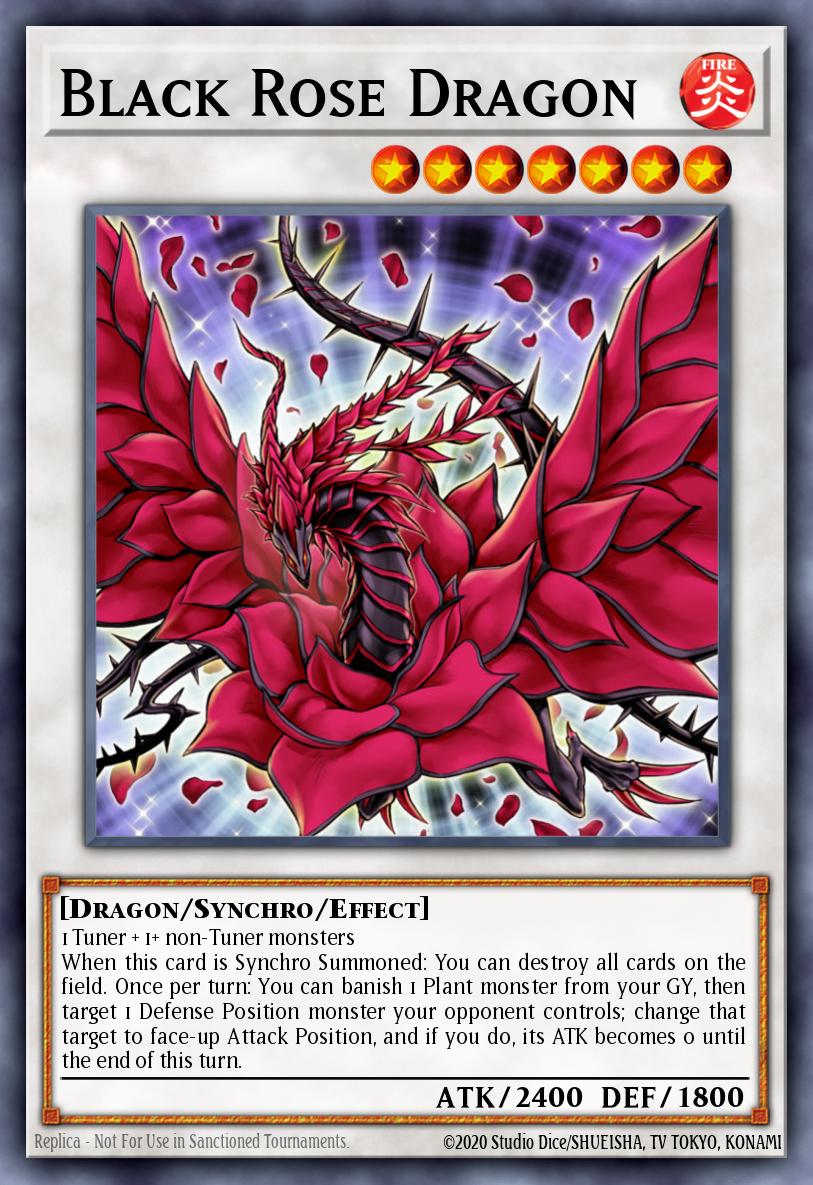 Dragon Rose Noire