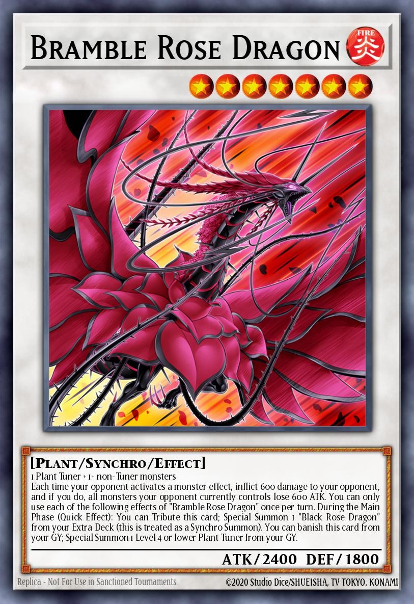 Dragon Rose Ronces