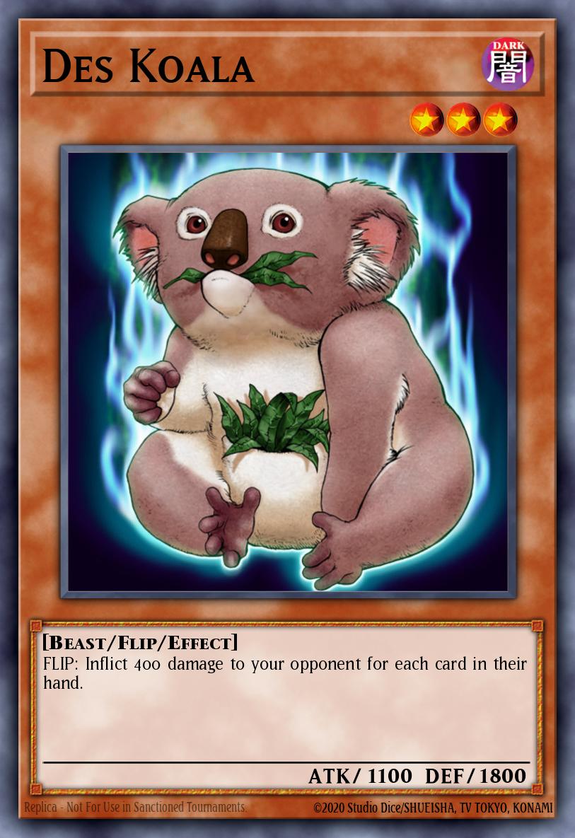 Koala Des