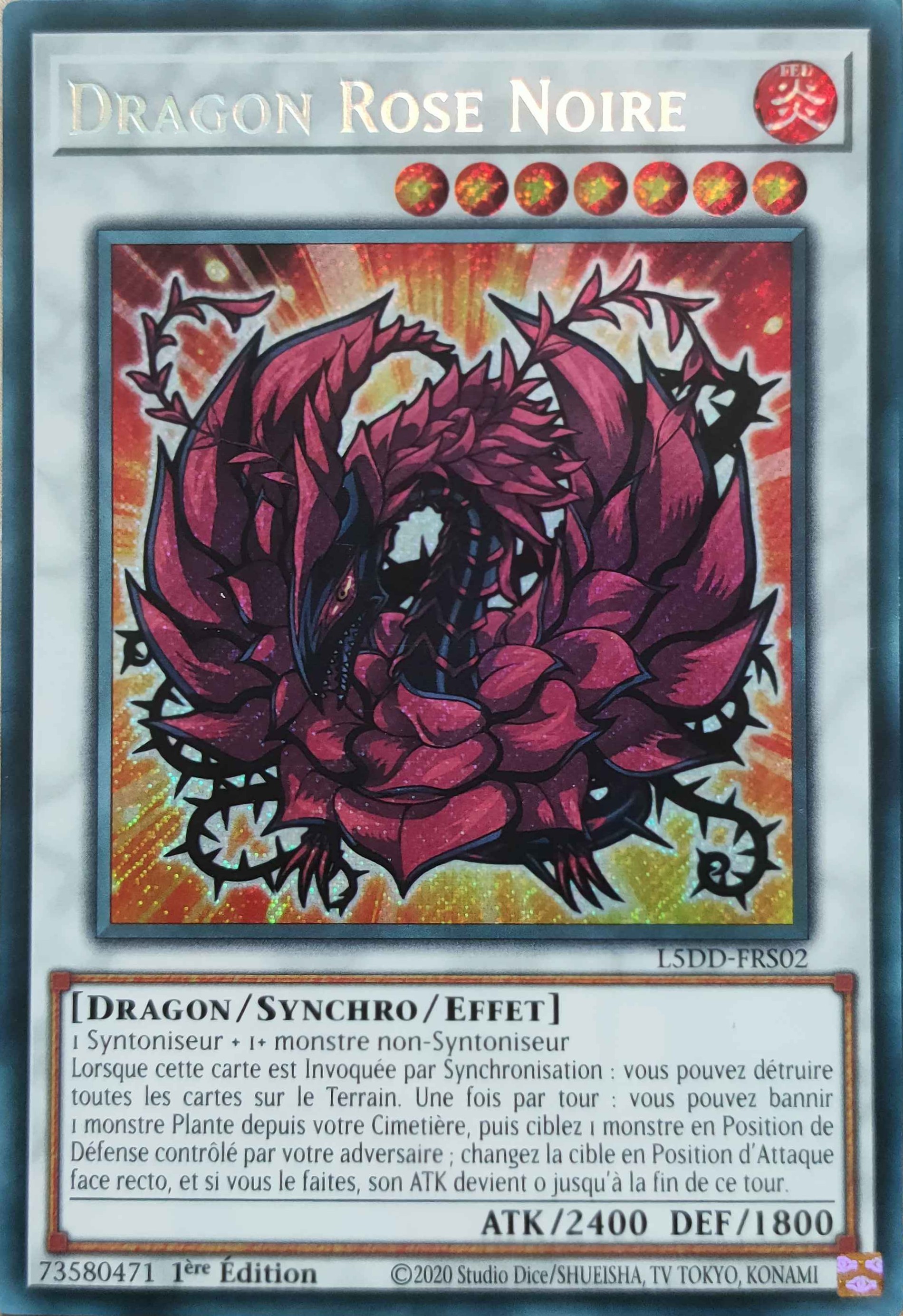Black Rose Dragon