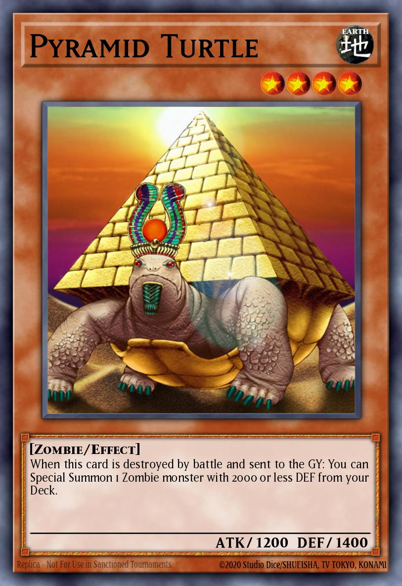 Tortue Pyramide