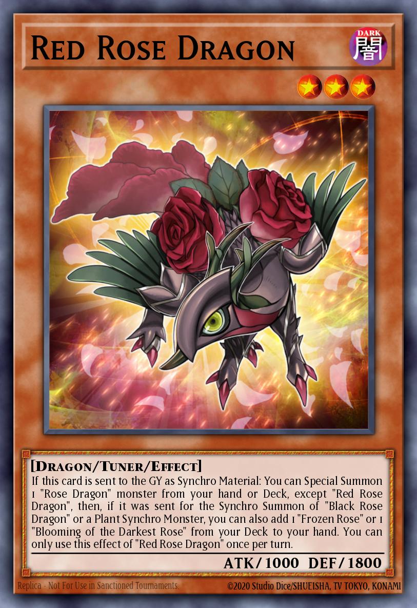 Dragon Rose Rouge