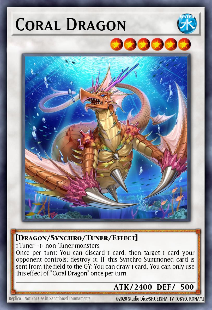 Dragon Corail