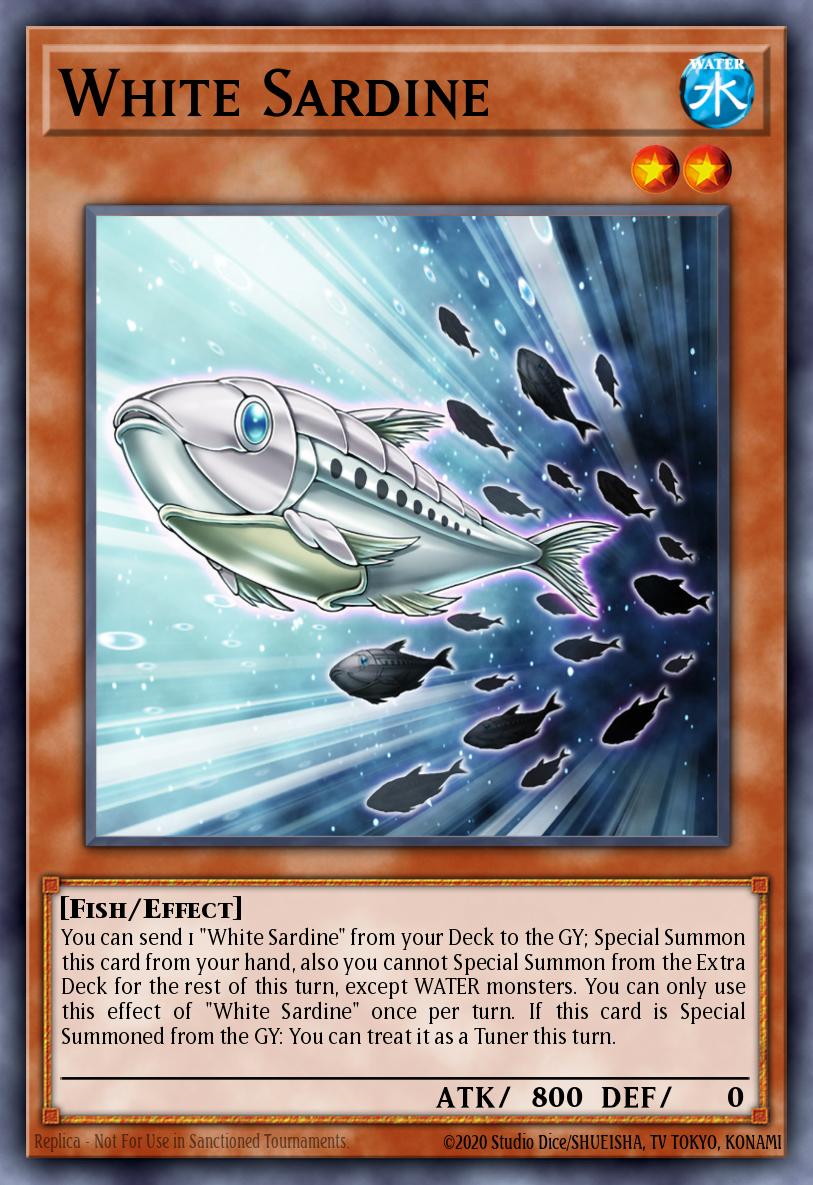 Sardine Blanche