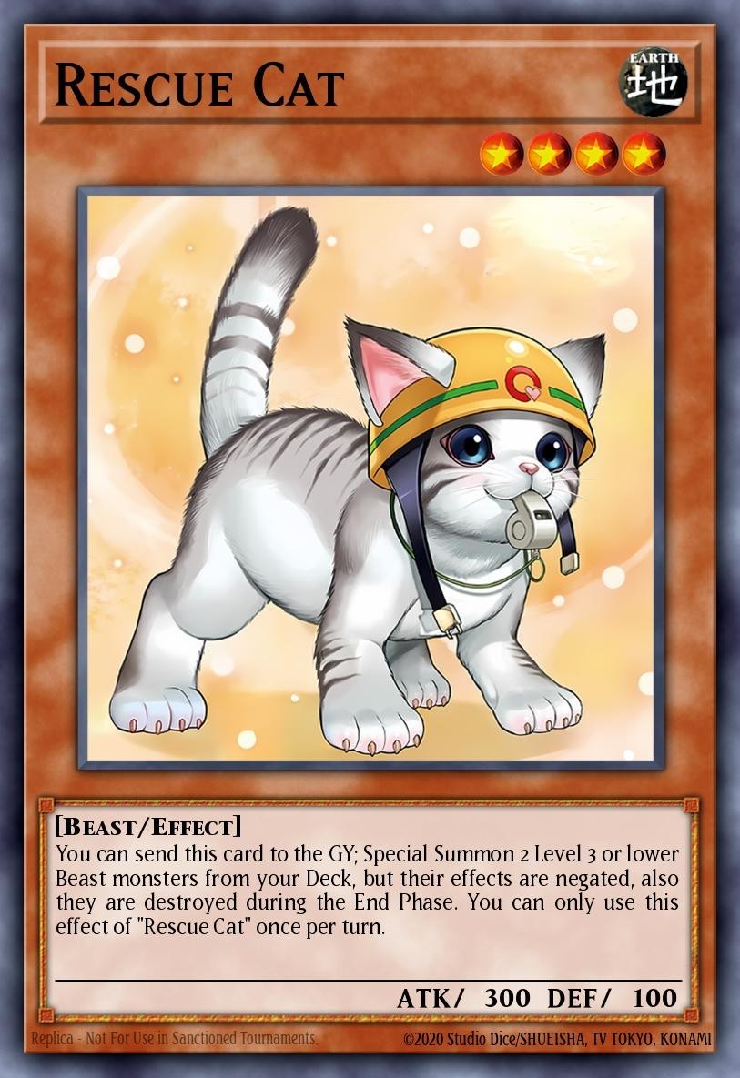 Chat Sauveteur