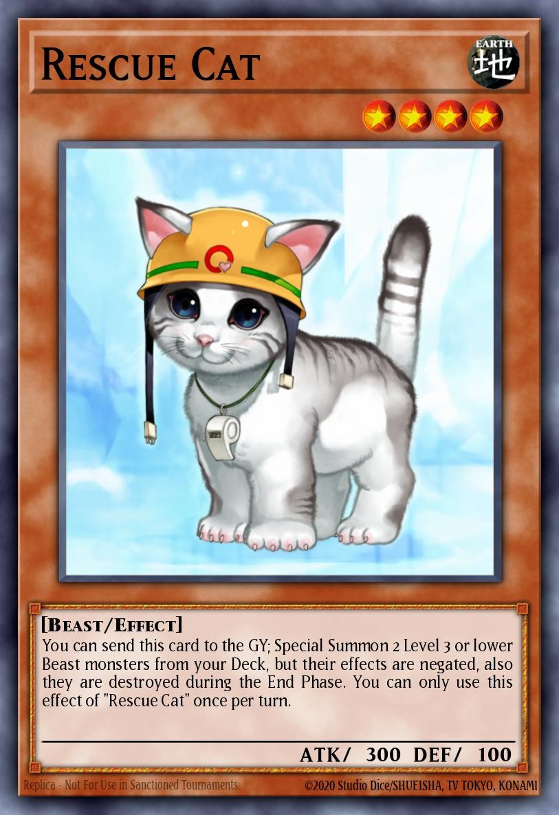 Chat Sauveteur