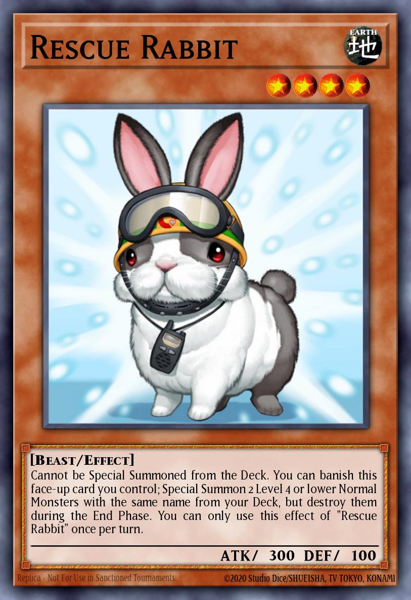 Lapin Sauveteur